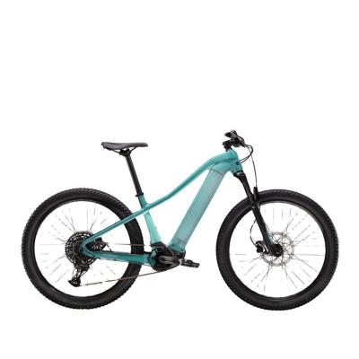 China 48V 500W New Standard Drive Mid Drive Electric Bike 14Ah Lithium Battery Electric Mountain Bike for sale