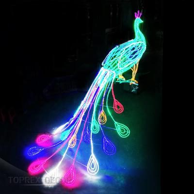 China Import led chip pattern colorful peacock outdoor decorative holiday 3d led diwali lighting for sale