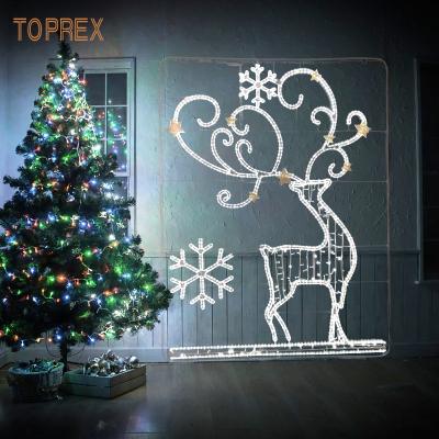 China Rust Proof White 2d Import LED Chip Holiday Festival Decoration Waterproof Color Christmas Lights Deer for sale