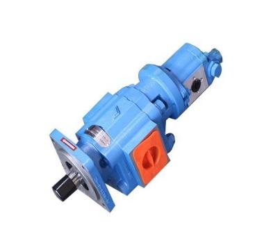 China HYDRAULIC PUMP 803004560 P5100-F100/16 LW130FV LW150FV LW160FV Gear Pump LW130FV LW150FV LW160FV Gear Pump XCMG XCMG XCMG for sale