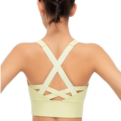 China Breathable Yoga Sports Underwear Women Quick Dry Cross Back Bandage Push Up Active Sports Yoga Bras For Women for sale