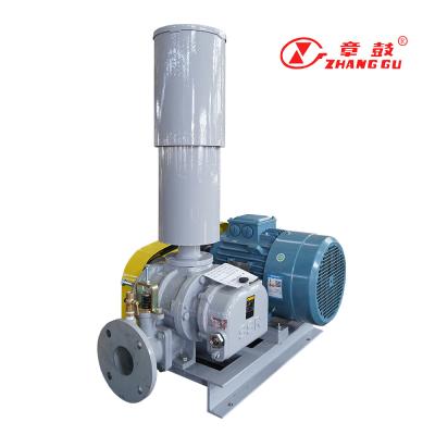 China SSR Roots Vacuum Pump Roots Booster Vacuum Pump For Mission Critical Processes for sale