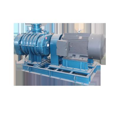 China Variable Speed Modular Roots Vacuum Pump Price For Energy Conscious Facilities for sale