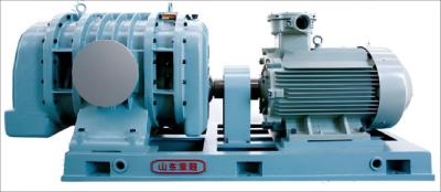 China Heavy Duty Cast Iron Electric Vacuum Roots Type Pump For Roots Fans for sale