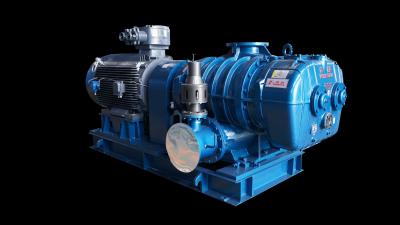 China Cutting Edge Engineering Roots Vacuum Pump Single stage For Improving Efficiency for sale