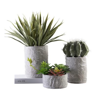 China Hot 2019 Corrosion Resistance Product Living Room Flowerpot Cactus Succulent Plant Home Decoration Cement Flowerpot for sale