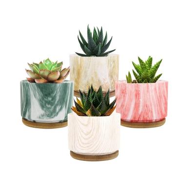 China With Drainage Hole [4-Pack] Mini Succulent Plant Pots Succulent Planter Flower Pot for Office Home for sale