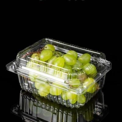 China Recyclable Plastic Disposable Containers For Food Packaging Fruit Container for sale