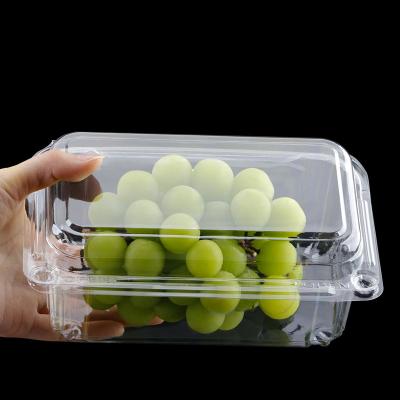 China Recyclable 100ml 300ml 500ml Plastic Container For Food Fruit Sauce Lunch Box for sale