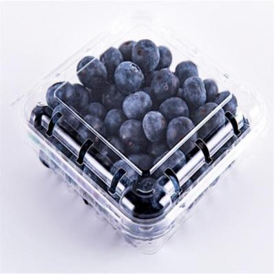 China Small Recyclable Clear Plastic Storage Food Containers Box Wholesale Price for sale