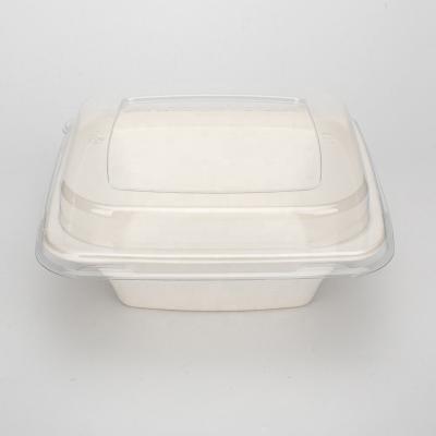 China Wholesale Disposable Sugarcane Bagasse Food Container With Lid Party Square Biodegradabele Disposable Bowl Tableware China Bagasse Pulp for sale