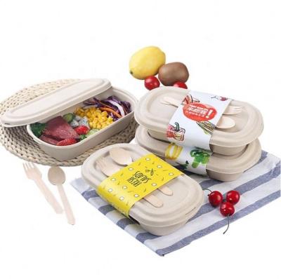 China Home.Restaurant.Bar.Hotel.Wedding 1250Ml Biodegradable Standard Cell Lid Food Packaging Food Box Sugarcane Bagasse Bagasse Two Container for sale