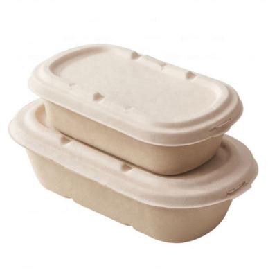 China Home.Restaurant.Bar.Hotel.Wedding 500Ml Disposable Eco-friendly Sugar Cane Biodegradable Food Container To Go Bento Lunch Box for sale