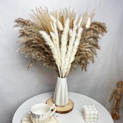 China Natural Touch Amazon Preserved Bohemian Mix Natural Dried Elf Grass Mini Pampas Grass Flower Bouquet for sale