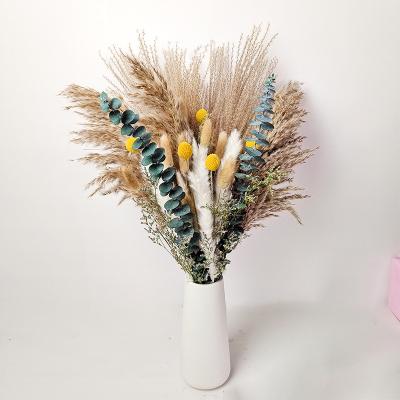 China Natural Touch Wholesale Preserved 40 Pcs Mix Small Natural Dried Pampas Grass Eucalyptus Dried Flower Mini Bouquet for sale