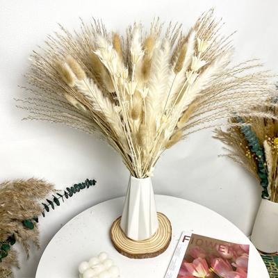 China Natural Dried Flower Dried Flowers Bouquet 55 Pcs Mix White Octagon Flower Pampas Grass Reed Bouquet for sale