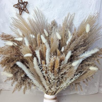 China Wholesale Touch 80 Pcs Natural Preserved Mixed Natural Dry Pampas Grass Flower Bouquet Small Mini 80 pcs boho for sale