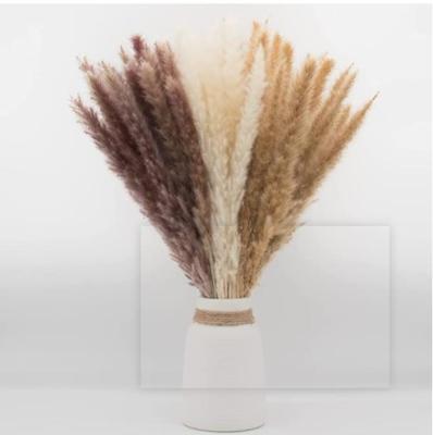 China HOT Selling Boho Decor 60 Natural Touch 45 Pcs Mix Dry Tubular Pampas Grass Flower Bouquet For Home Decoration for sale