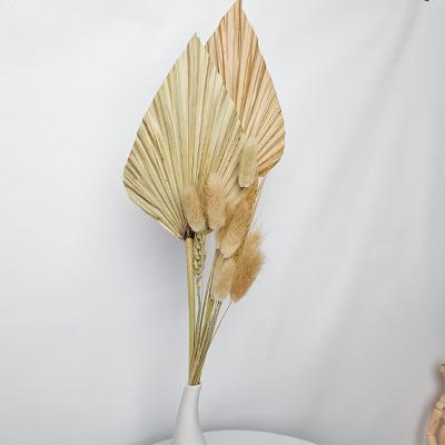 China Amazon Boho Natural Wholesale Bouquet Touch Palm Leaves Natural Pampas Grass For Home Dry Flower Decor for sale