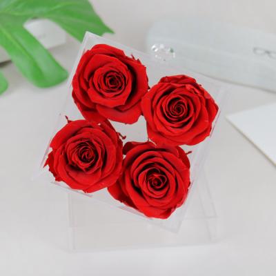 China Natural Preserved Rose Decorative Flowers Valentines Day Gift Acrylic Preserved Roses Flower Gift Box for sale