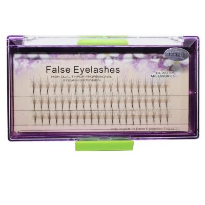 China Natural Long Individual Packing 10mm False Eyelashes Group 5 Root 0.07 C Curl Eye Lash Extension Health Makeup Tools for sale