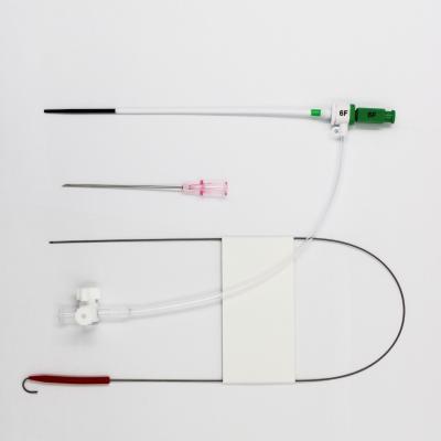 China Estabish Sleeve to Coronary Artery Ortus Angiography 6F Catheter Disposable Medical Femoral Introducer Sheath Set for sale