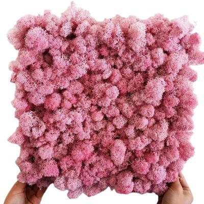 China New Arrival Transitional Wedding Immortality Flower Party High Quality Decoration Dry Flower Bouquet for sale