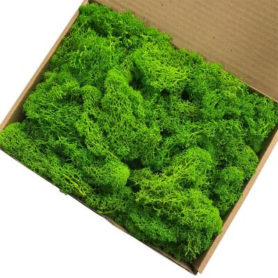 China Transitional high quality wholesale household grass wall fashion decoration decorative grass for sale