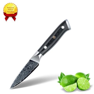 China EDC Damascus Series Disposable Fruit Knife Peeling Knife Damascus Fruit Knives With Japanese vg10 for sale