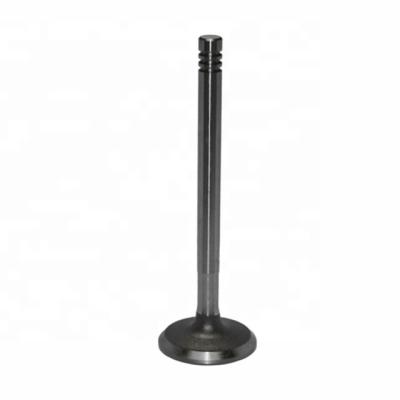 China Engine Intake And Exhaust Valve Set 22211-11000 22212-11000 For Standard Size STELLAR for sale