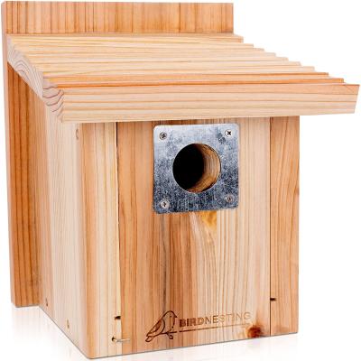 China Sustainable Handmade Outdoor Garden Solid Wood Box Shape Vintage Bird Wall Mounted Natural Decorative House for sale