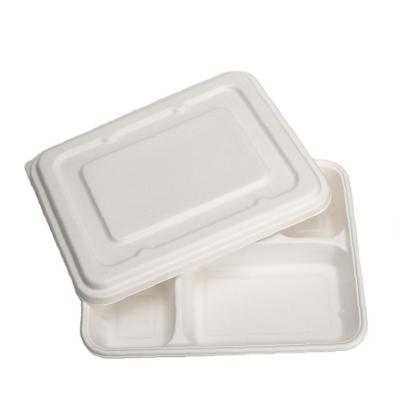 China Disposable Environmental Protection Hot New Product Disposable Meal Box for sale