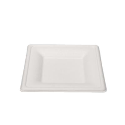 China Disposable Factory Price Disposable Biodegradable Bagasse Meal Dish for sale