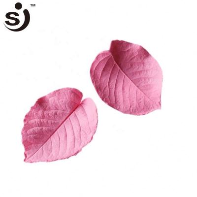 China Viable Petal Veiner Sugar Craft Tools Silicone Sheet Fondant and Gum Paste Mold for sale