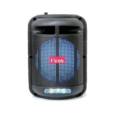 China 2021 New Portable Radio OEM Speaker With Professional BT Speakers for sale