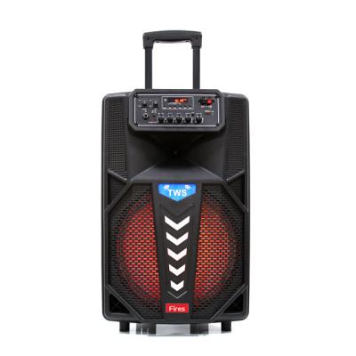 China Led radio 2021 new lightweight private spekers BT hot design 12inch speaker for sale