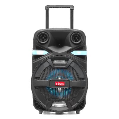 China Portable 12inch wieless phone function microphone with BT FM radio function carts rechargeable speaker for sale