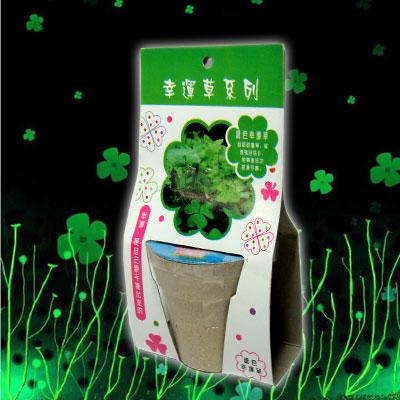 China Indoor Plant Clovers Lucky Luck Chance Green Grass Plastic Plants for sale