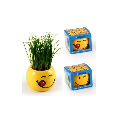 China HOT Plant Toy Lowerpot Smile Face Plastic Baby With Cute Plant Planter Green Plants Flower Pot (4 Styles) for sale