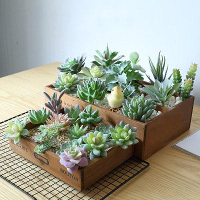 China Nordic Home Plant Mini Succulent Plant Artificial Plastic Flower Modern Hot Selling Artificial Bonsai for sale