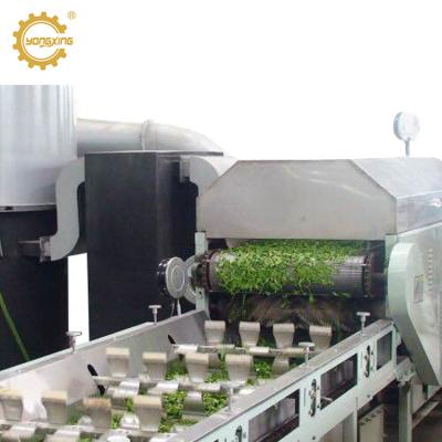 China Tea Processing Machine Tea Factory Industry Kill Green Tea Leaves Steam Machine For Green Tea for sale