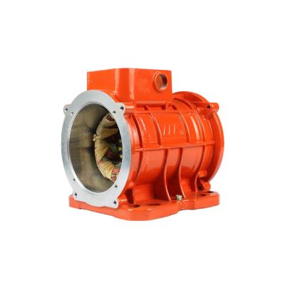 China Totally Enclosed Vibrating Motor for Foundry Sand Plant Vibration Motor Manufacturer for sale