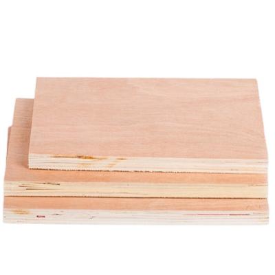 China Modern Online Wholesale Second Forming Woods Cutting Kirting Plywood Mahogany Panel for sale