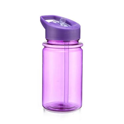 China 450ml Sustainable Guaranteed Quality Water Bottle For Kids , Fruit Infuser Water Bottle for sale