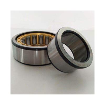 China Garment Shops Hot Sale GCr15 Corrosion Resistant Cylindrical Roller Bearing Cylindrical Bearing for sale