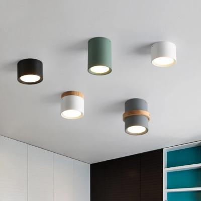 China Other Custom Cheap Cylinder Ceiling Lamp for sale