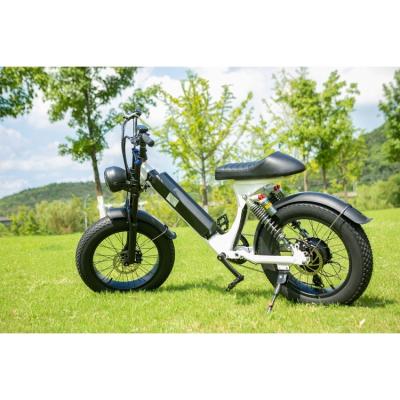 China Central Motor E Aluminum Alloy Off Road Electric Bike Adult Chinese Aluminum Alloy Supplier New Fashion for sale