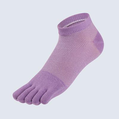 China Yoga Mowin Women Spring Summer Mesh Thin Cotton Medium Tube Sports Socks for sale