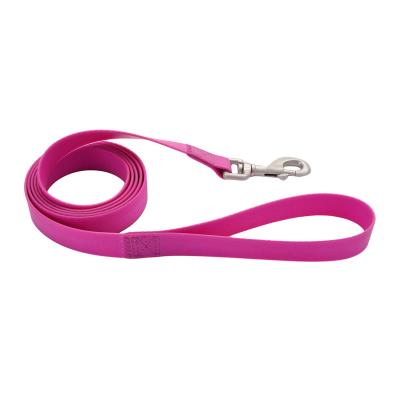 China Personalized Durable Waterpro Coated Webbing Dog Leash For Outdoor Fun, Purple for sale