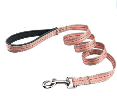 China Personalized Instant Puppy Harness Leash Set Tpu Rechargeable Leash for sale